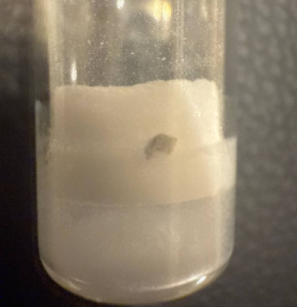 example of contaminated lyophilization